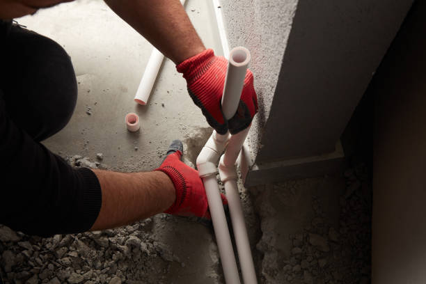 Best Plumbing Inspection Services  in Waynesboro, MS